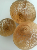 Bell cup net