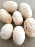 Amra pod
