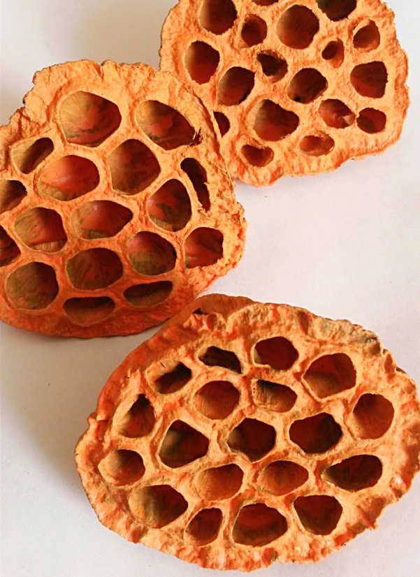Lotus medium oranžová