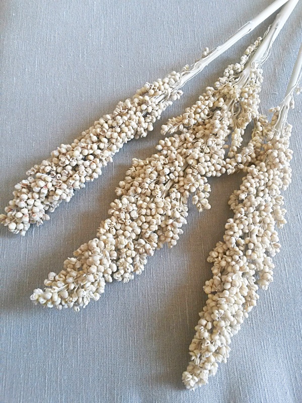 Indian corn bělený
