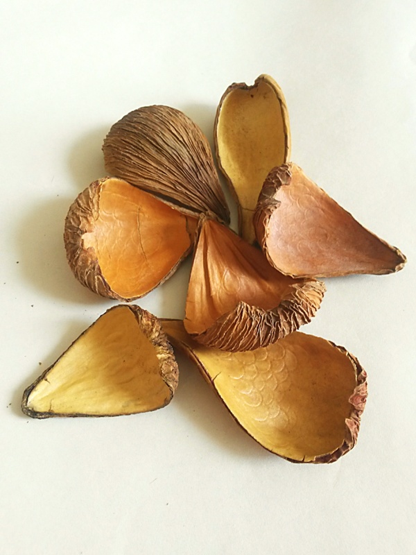 Pradeep pod natural