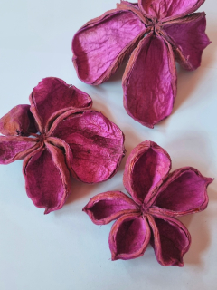 Land Lotus lila