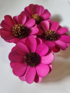 Palm Belly color 6 cm fuchsia