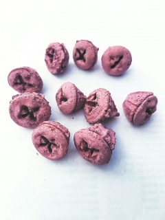 Eucalyptus pod fuchsia painted