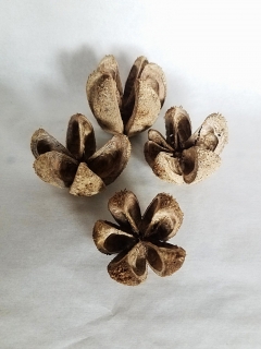 Bullet flower natural stonewash