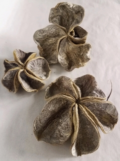 Land lotus natural stonewash