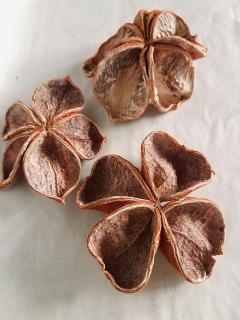 Land lotus red stonewash