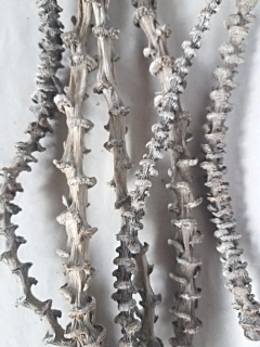Banana stick natural stonewash