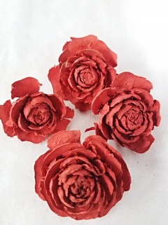 Cedar rose mix velikostí paint red