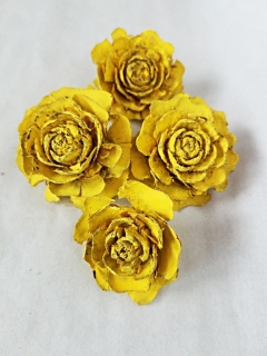 Cedar rose mix velikostí paint yellow