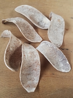 Mehogany cobra spoon natural stonewash