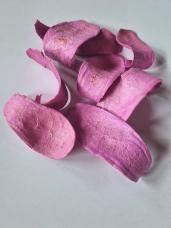 Mehogany Cobra Spoon fuchsia
