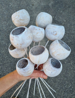 Bell cup natural stonewash stopka