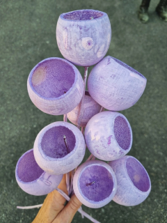 Bell cup purple stonewash stopka