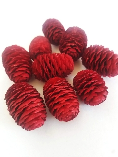 Sabulosum red 