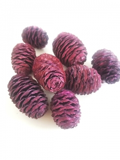 Sabulosum violet