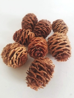 Strictum natural loose